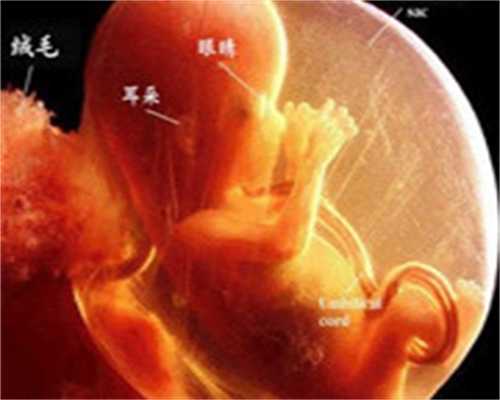 生化妊娠会影响香港验血查男女吗,准备备孕之前吃这5种食物-能调理身体提高成