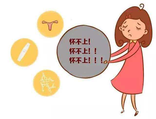 香港验血第二天中午出结果吗,不容易受孕的小夫妻，找找原因，试试助孕的食